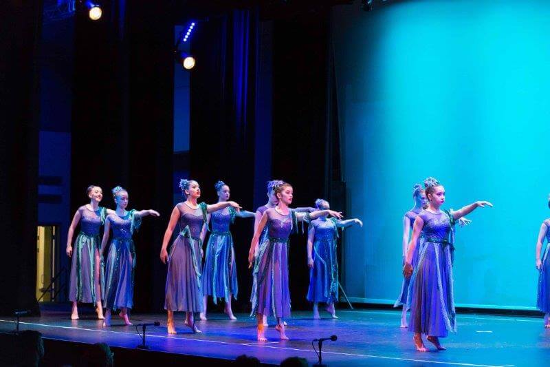 Shilleena's Dance Academy - Performance 2017 Shilleena's Dance Academy - Performance 2017