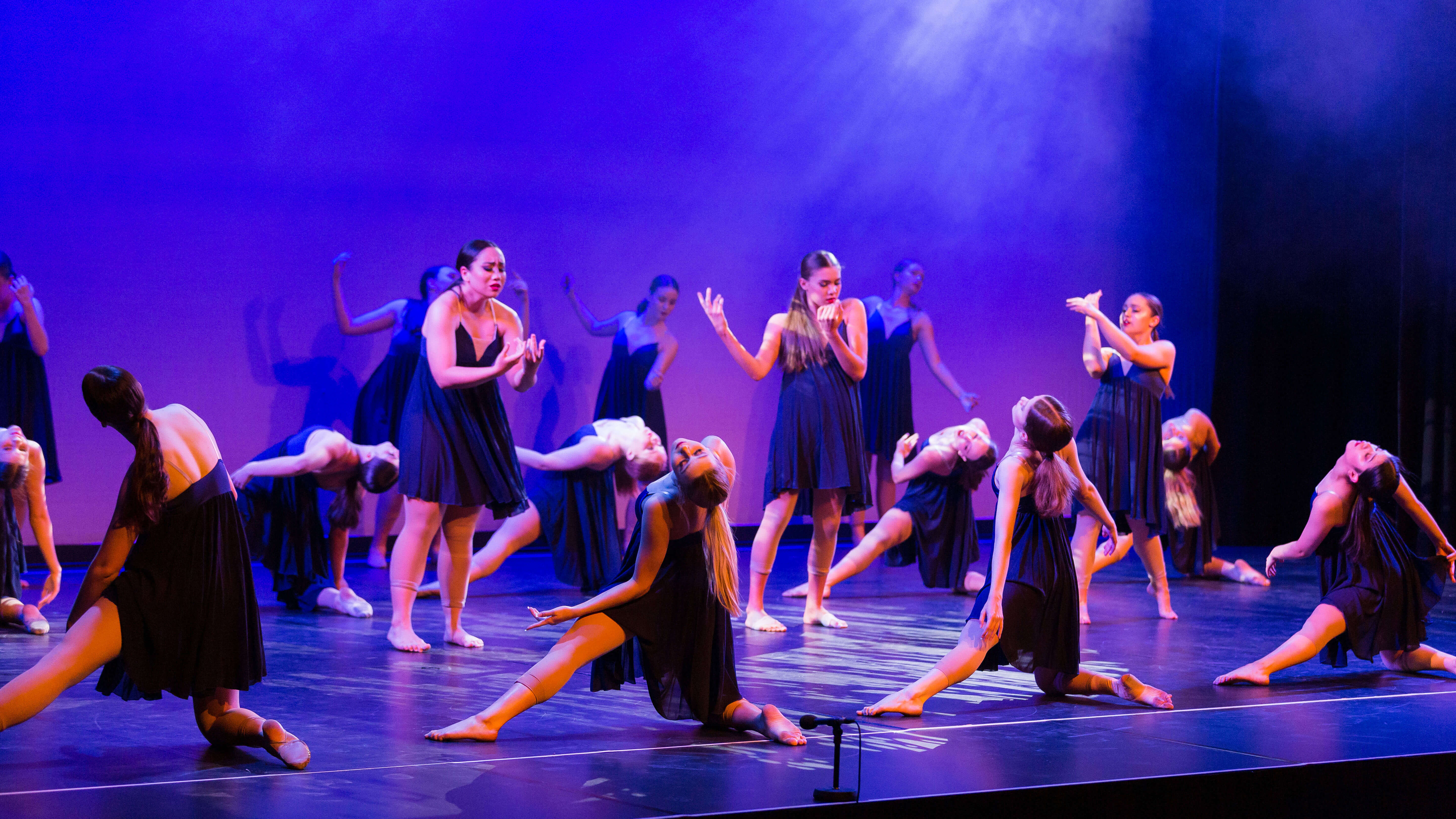 In This Shirt - Senior & Sub-Senior Performance Troupe 2020 - Photography by Kick the Cow Photography In This Shirt - Senior & Sub-Senior Performance Troupe 2020 - Photography by Kick the Cow Photography