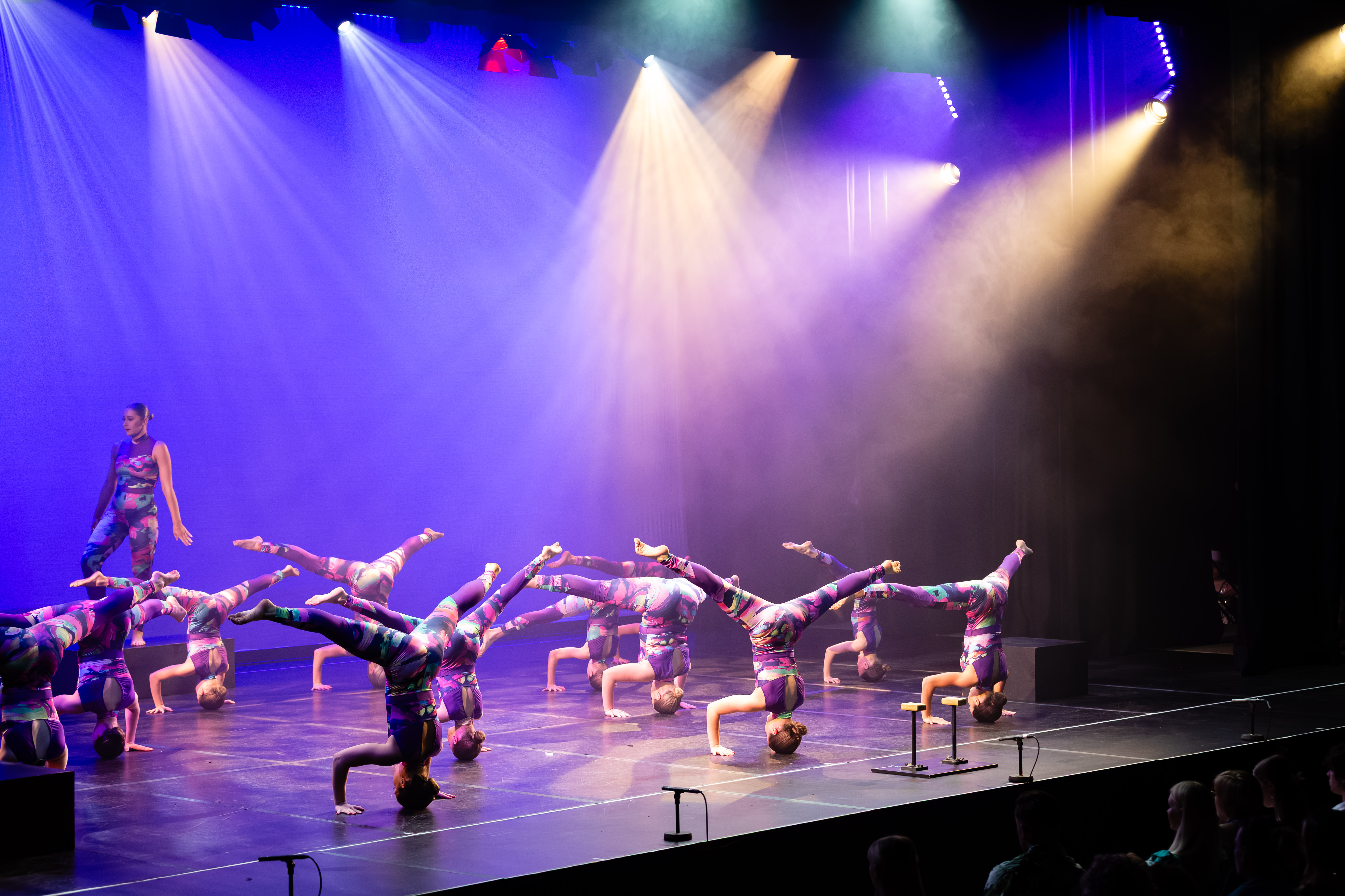 ICONIC CONCERT - Lv 3 Acro 2025