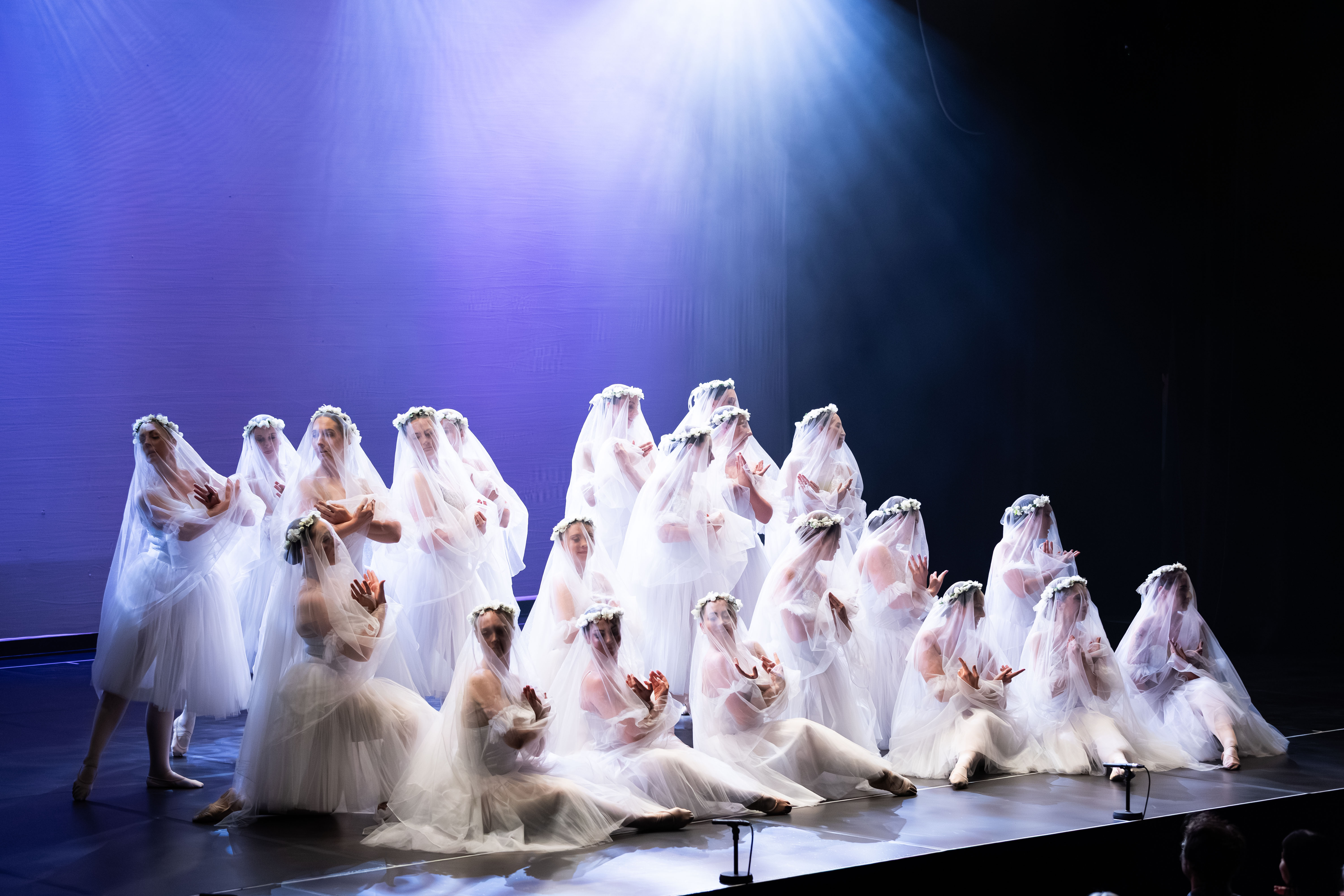 ICONIC CONCERT - Adult Ballet 2025