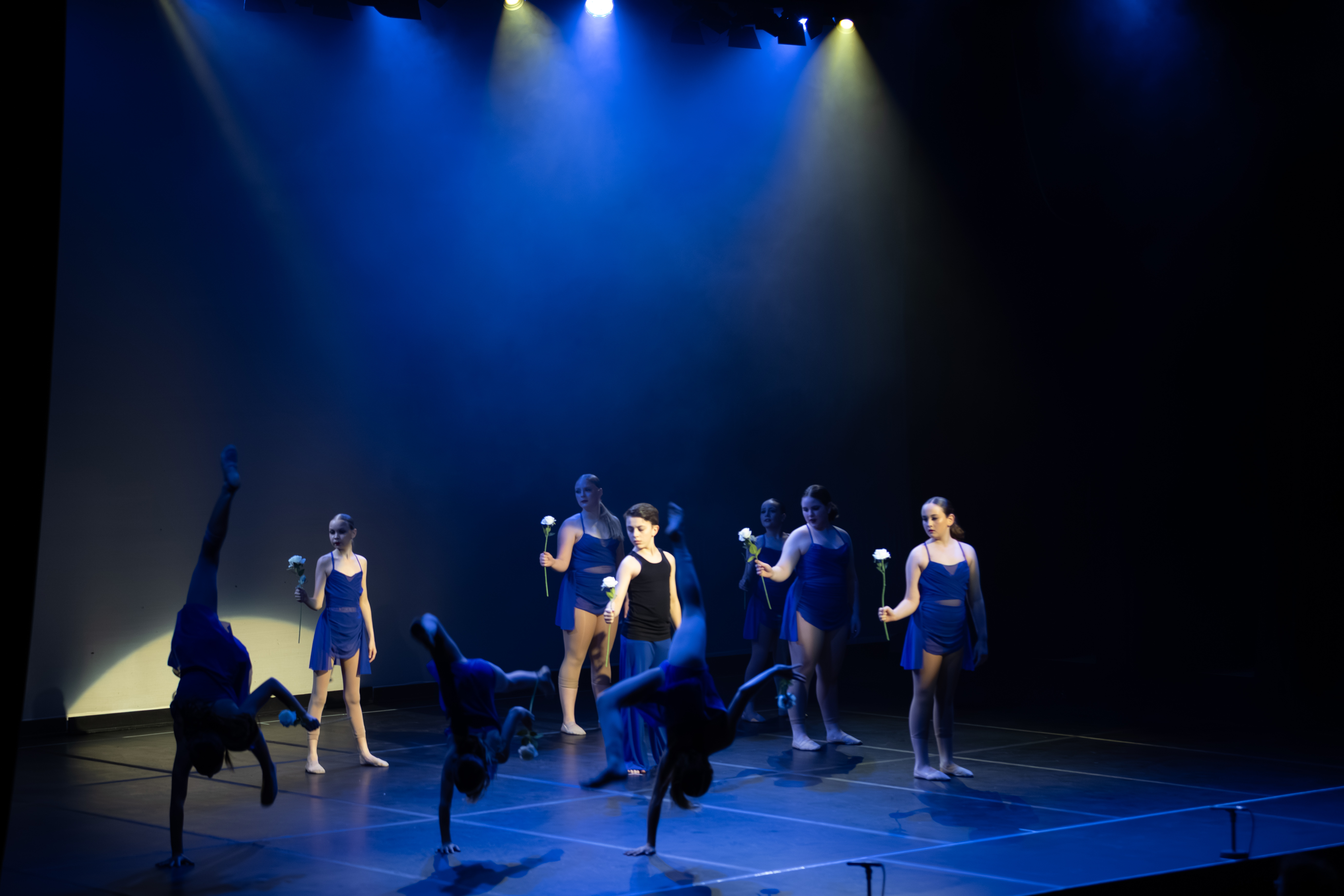 ICONIC CONCERT - Intermediate Troupe 2025