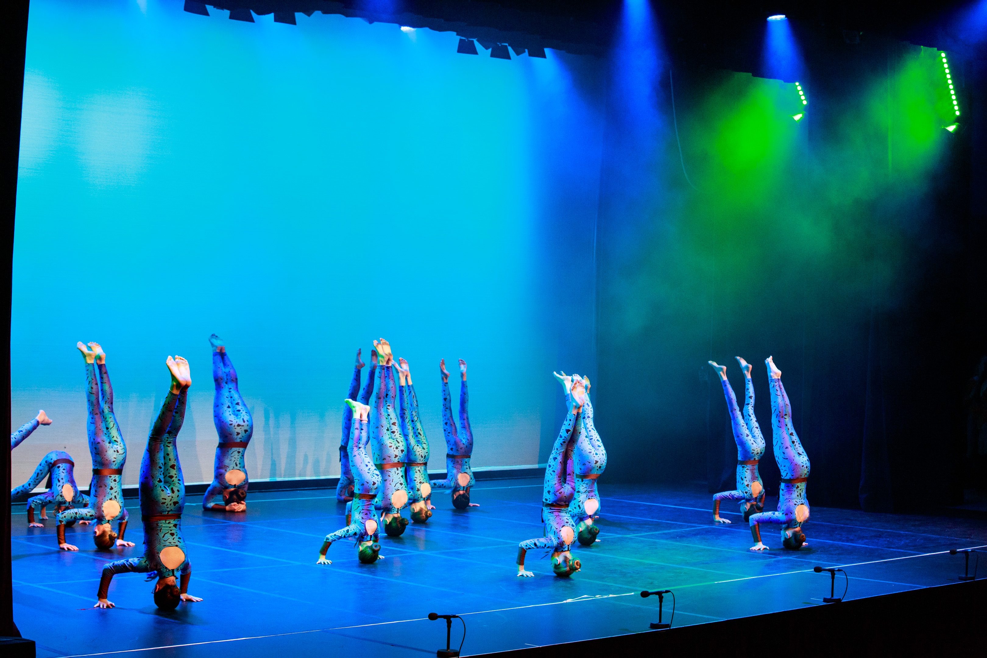 Avatar - Lv 2 Acrobatics 2023 - Photo taken by Kick the Cow Photography